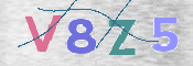 Obraz CAPTCHY