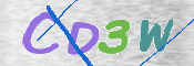 Obraz CAPTCHY
